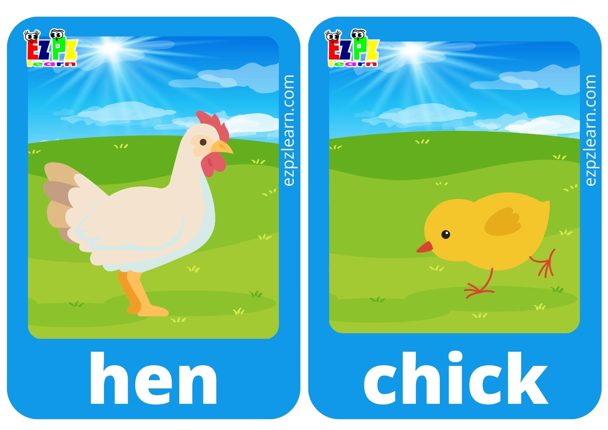 hen and chick